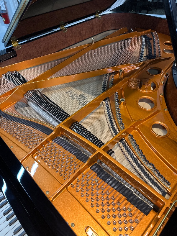 Additional image for Schimmel C213T
